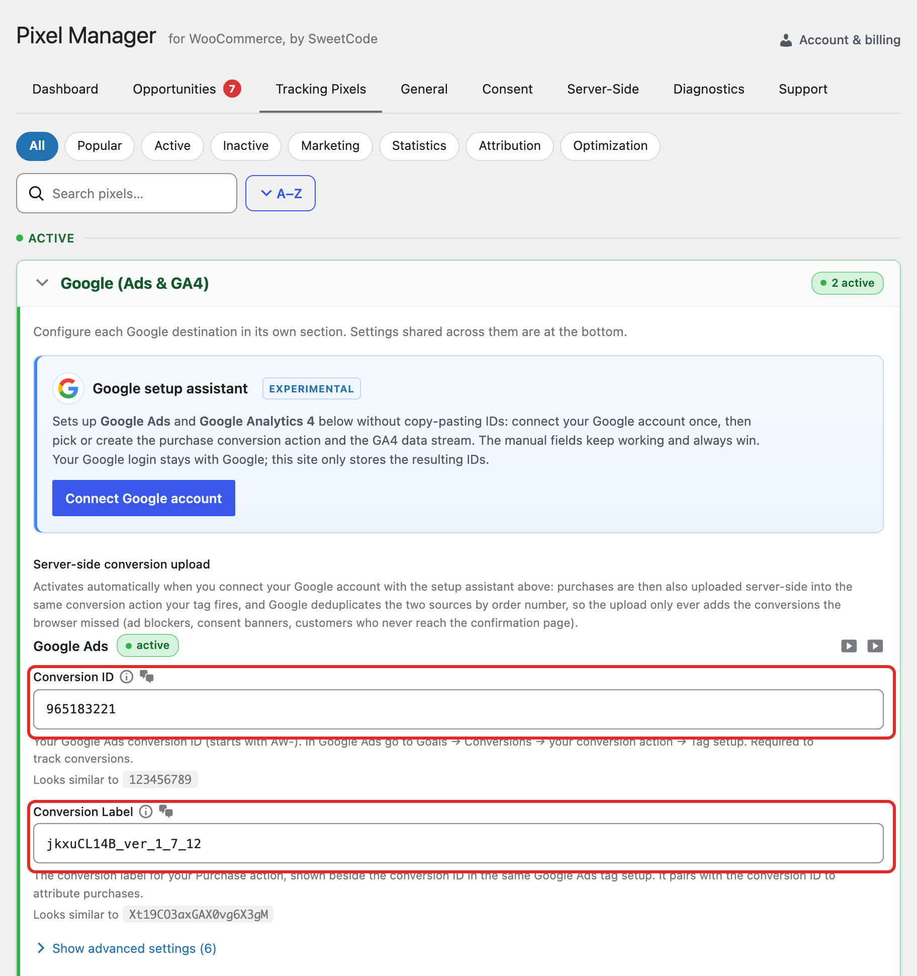 Enter your Google Ads Conversion ID in the plugin backend