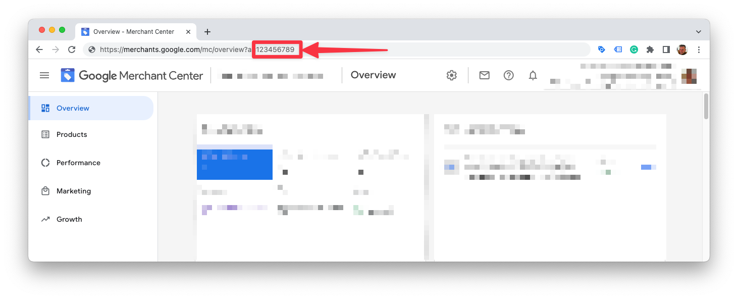Google Merchant Center ID